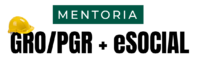 Engenheiro Petrus Falcão
